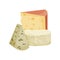 Set of three varieties of cheese. Vector illustration on white background.