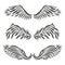 Set of three vector decorative angel or bird wings design - illustration or tatto design