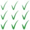 Set tick green checkmark correct mark checkbox, vector tick green checkmark symbol of approval