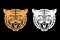 Set of tiger faces. Vintage design of roaring tiger head. Vector.