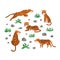 Set of tigers, leaves and stones. Vector illustration.