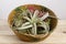 Set of Tilandsia ionantha and xerographica airplants in wicker basket on wooden table