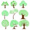 Set of Tree design ,natural vector illustration