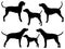 Set of Treeing Walker Dog silhouette vector art