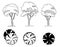 Set of trees for decoration and landscape architectural drawings. Exterior Features. Top view directly