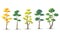 Set of Trees Diversity, Vector Illustration.