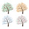 Set of trees Four seasons