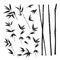 Set of tropical bamboo elements. Collection of palm leaves on a white background. Vector illustration.