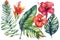 Set tropical bouquets of hibiscus rose, frangipani and greenery of monstera palm leaf and palm fronds, exotic clipart hand drawn w