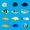 Set of tropical color sea fishes