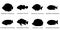 Set of tropical fish black silhouettes