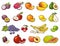 Set tropical fruits. Vector black vintage engraving isolated on white