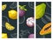 Set tropical fruits. Vector color and monochrome vintage engraving