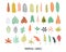 Set tropical leaves hand drawn flat illustrations. Exotic plants sketch cliparts collection. Bright colors split leaves cartoon