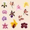 Set of tropical orchids flowers elements. Set of stickers, pins, patches and handwritten notes collection stikers kit.