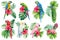 Set of Tropical palm leaves, hibiscus flower and parrot, isolated white background, watercolor painting, jungle design