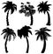 Set of Tropical palm silhouettes