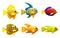 Set Tropical yellow fish, coral reef exotic pet animal. Collection Aquarium sea life, vector illustartion cartoon style