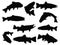 Set of trout fish silhouette vector art on a white background