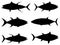 Set of tuna fish silhouette vector art on a white background