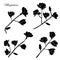 Set of twigs of blooming magnolias. Black silhouettes of flowers isolated on white background