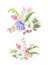 Set of two beautiful floral decorative elements. Attractively arranged bunches of spring or summer flowers, lovely