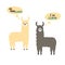 Set of two decorated lamas. Cute cartoon poster with adorable characters. Standing animal carry on a dialogue.