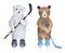 Set of two different bear cubs, brown and polar, ice hockey player characters.