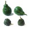 Set of two green warty decorative pumpkins