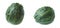 Set of two green warty decorative pumpkins