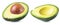 Set of two halves of avocado on white background