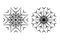 Set of two images from contour drawing of a carved snowflake in minimalist style. Line art. Isolate