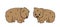 Set of two vector cute outline brown wombats. Isolated cartoon animals on white background, side view. First is smiling, second