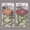 Set of two vintage labels with Sorghum bicolor and Corn aka Maize or Zea mays color sketch. Cereal plants collection.