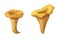 Set of two watercolor hand-drawn chanterelles isolated on white background. Yellow and orange image of wild forest