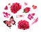 Set for Valentines day - hearts, red roses, pink butterflies, crystals, feathers. Romantic watercolor - love symbols