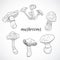 Set with a variety of vintage mushrooms. Collection of retro black and white hand drawn vector illustration.