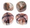 Set of various andalusite gem stones cutout