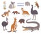 Set of various Australian animals flat style, vector illustration