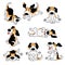 Set of various beagle funny cartoon dog poses vector illustrations isolated.