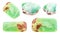 Set of various Chrysoprase gemstones isolated