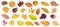 Set of various colorful fallen leaves cut out