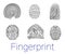 Set of various fingerprints loops, curls, patterns. Vector illustration.