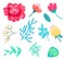 Set of Various Floral Icons on Vector Illustration