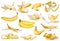 Set of various fresh bananas and peels isolated