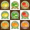 Set of various fresh fruit and vegetable premium quality tag label badge sticker and logo design in vector