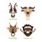 Set of various herbivores with horns