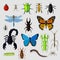 Set of Various Insects Design Flat