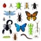 Set of Various Insects Design Flat