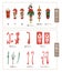 Set of various NOSHI, Japanese gift wrapping elements